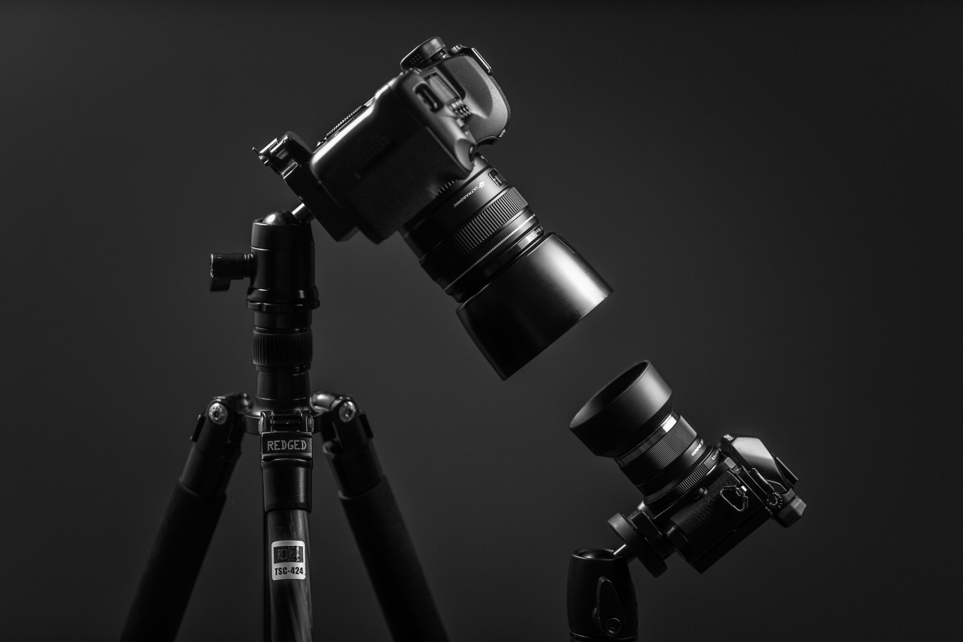 дэвид голиаф olympus om -d e- м10 canon eos 5d mk ii