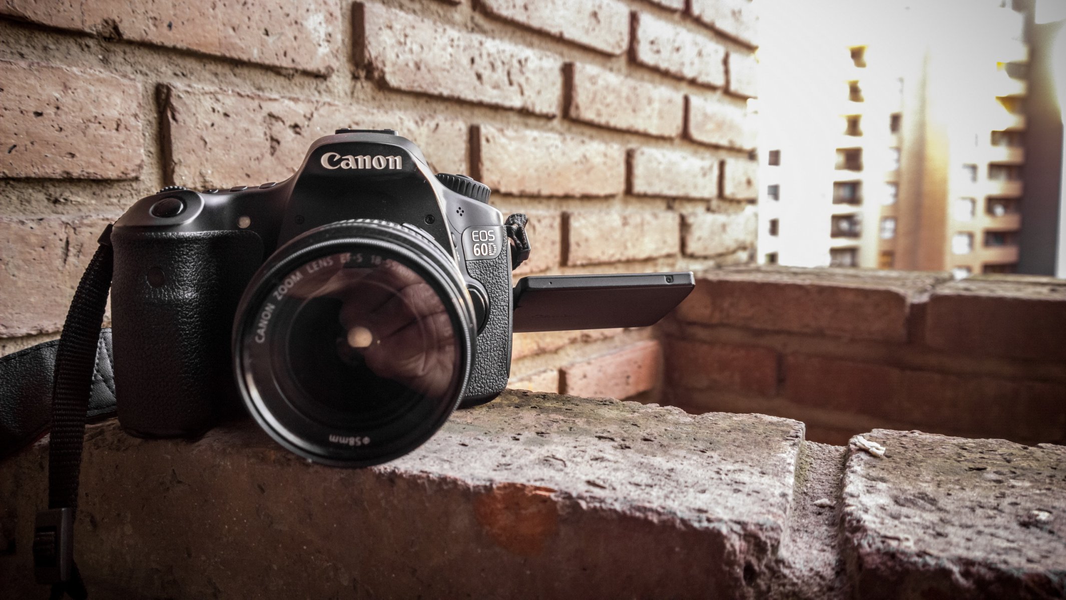 камера canon макро
