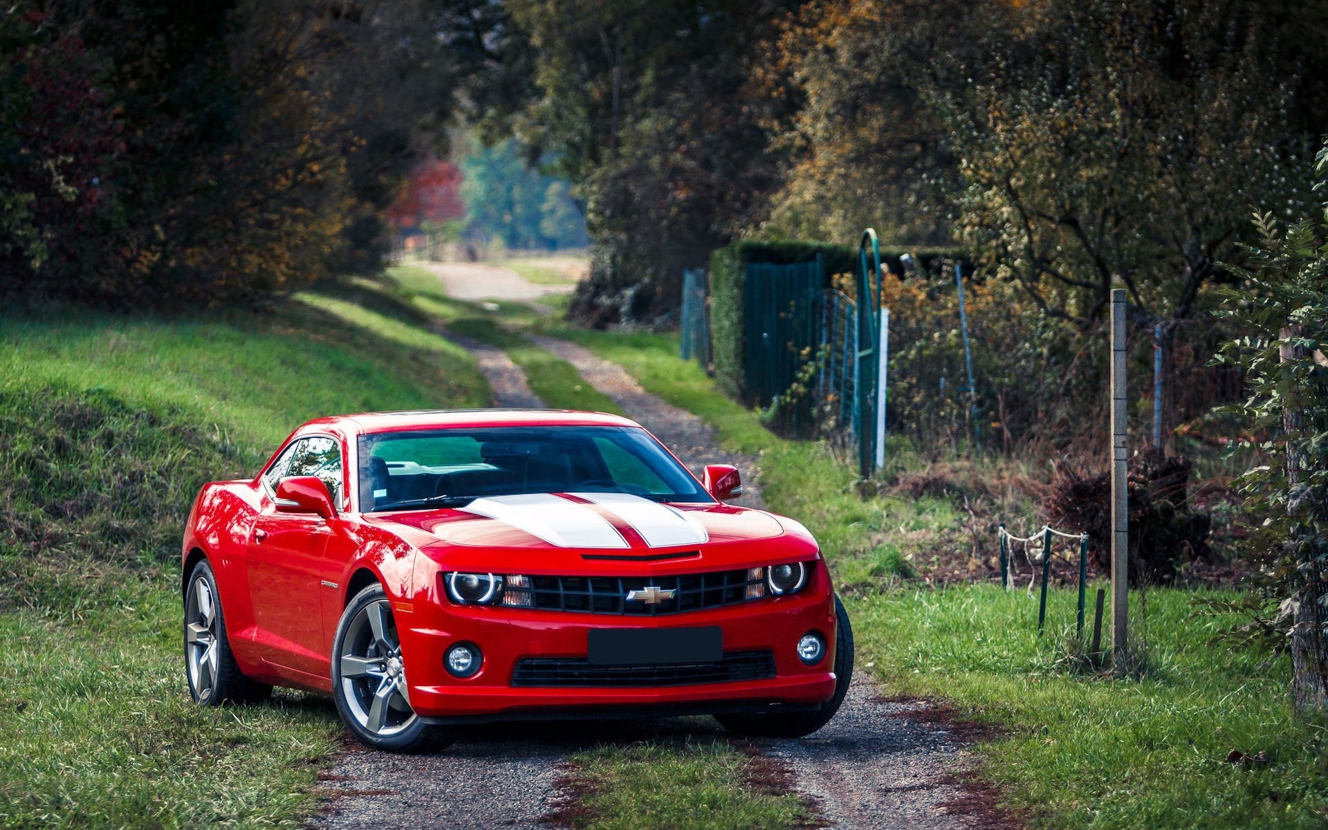 Chevrolet Camaro super Sport 2016