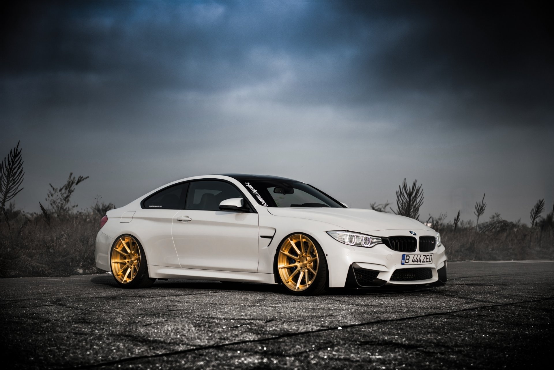 BMW f30 White Fon
