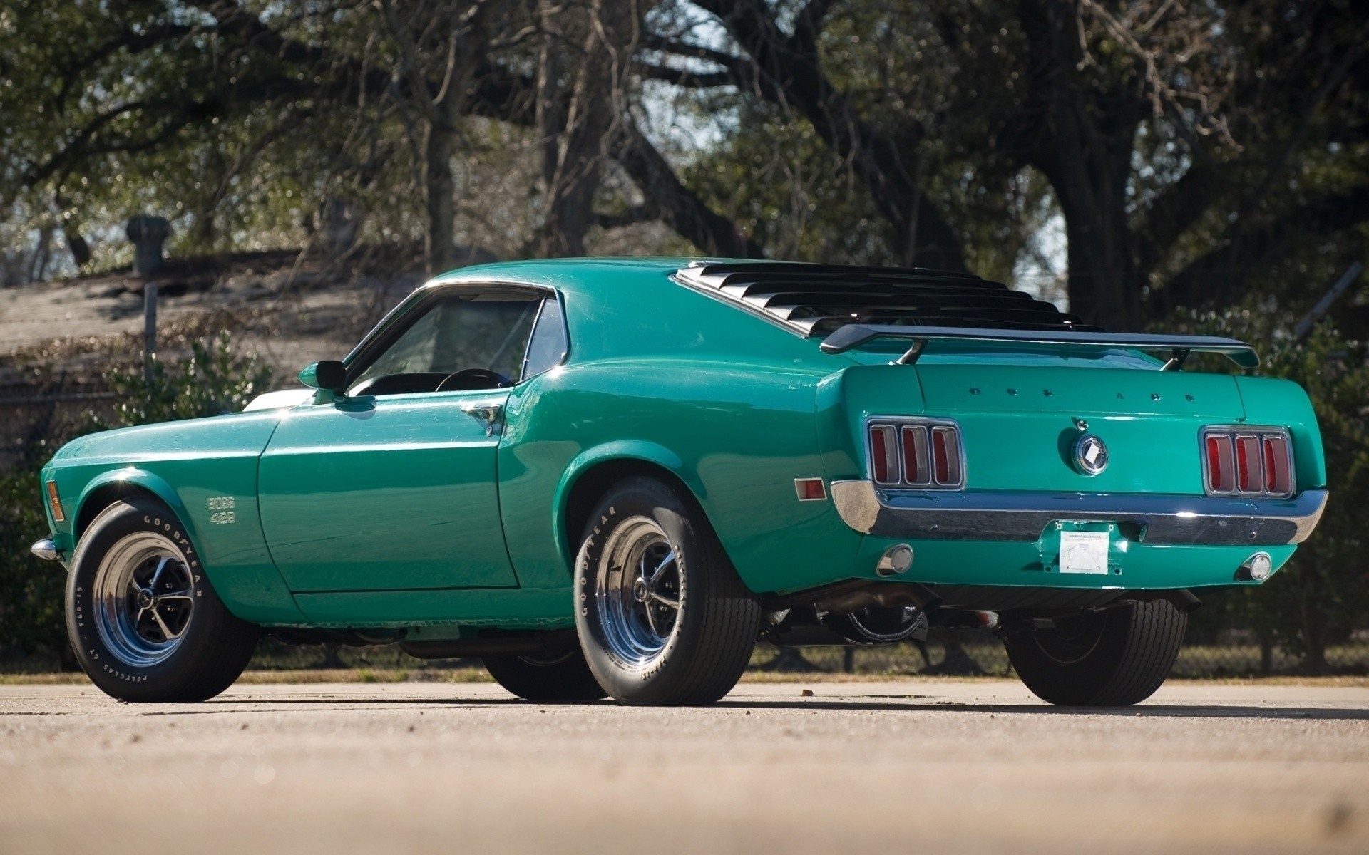 Ford Mustang 1969 зад