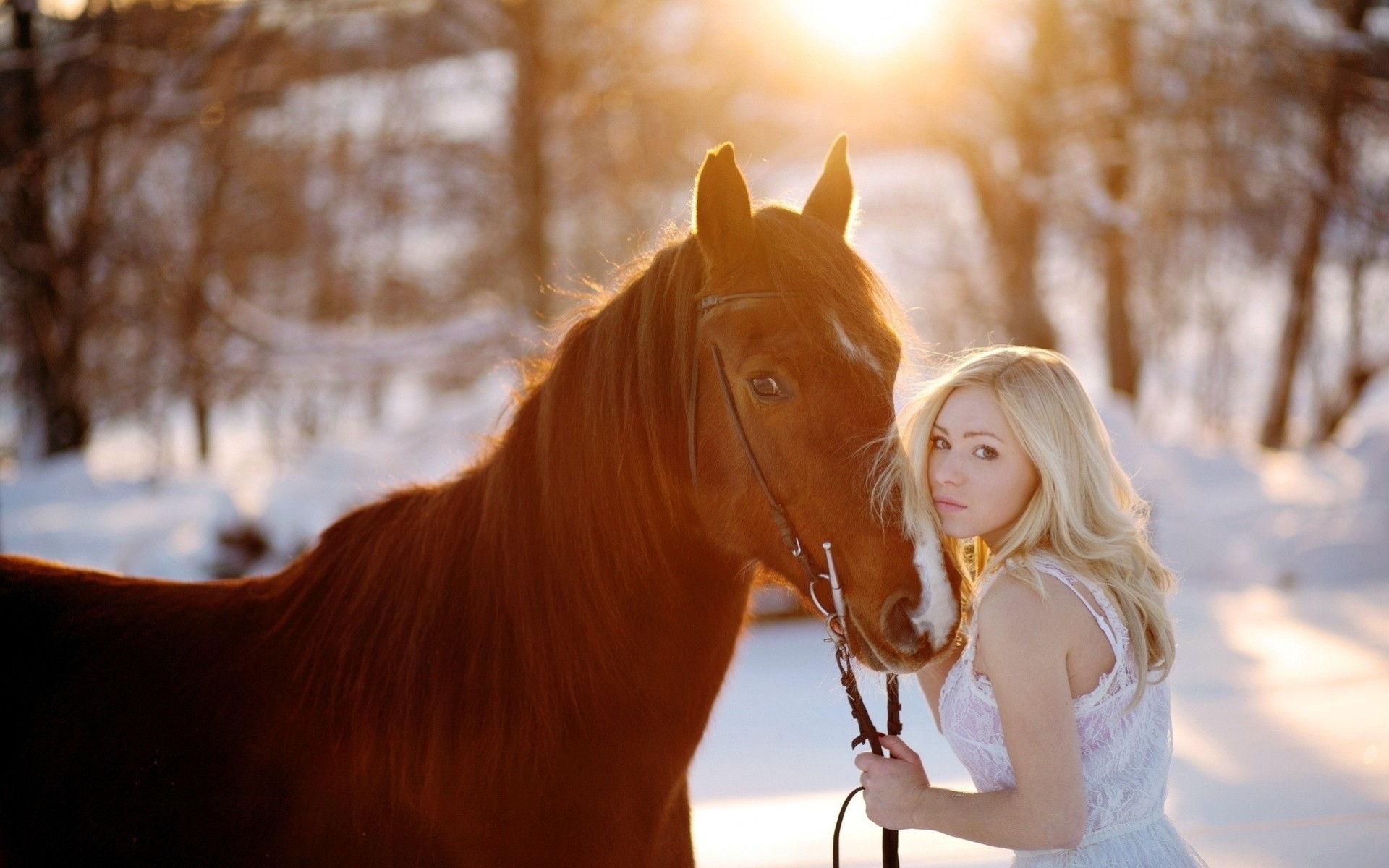 Русская девушка с лошадью. Фотосессия с лошадью зимой. Фотосессия с лошадьми. Красивая фотосессия с лошадью. Девочка на лошади.