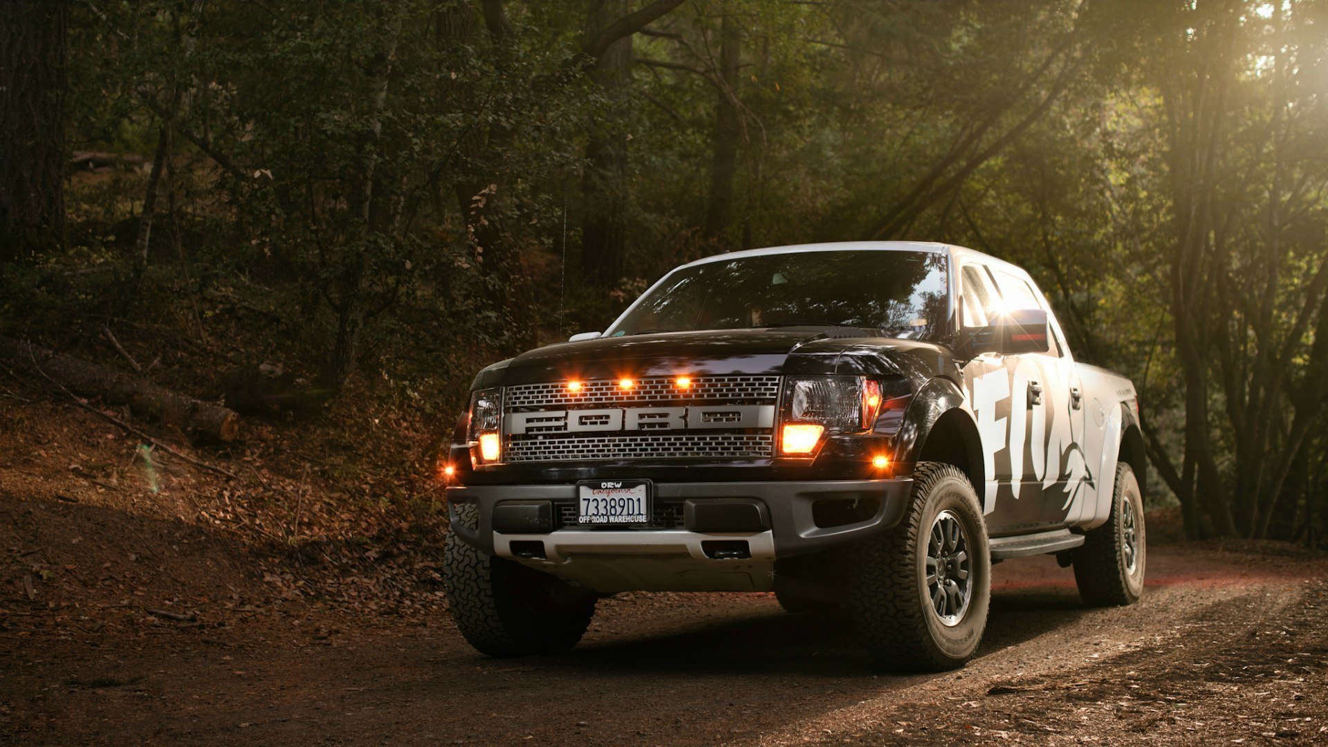 форд f -150 raptor лес листья огни