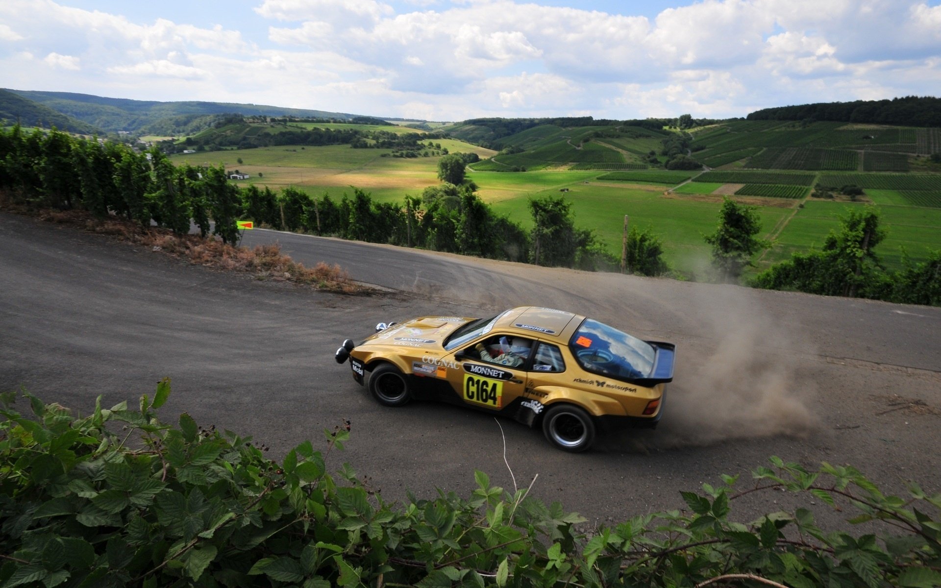 Rally на зелёной природе