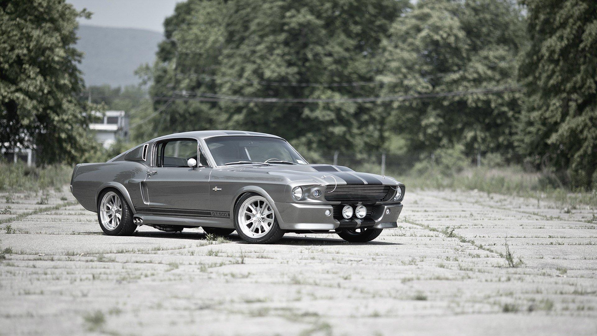 Ford Shelby gt500 1965