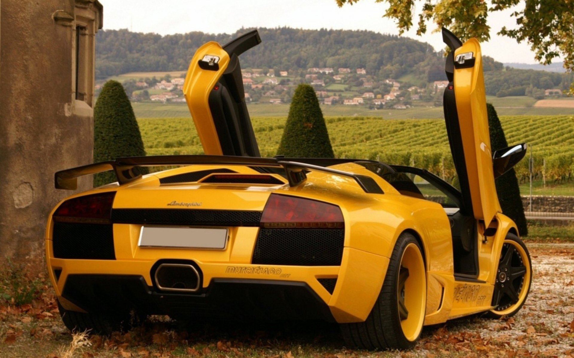 Lamborghini Murcielago Tuning