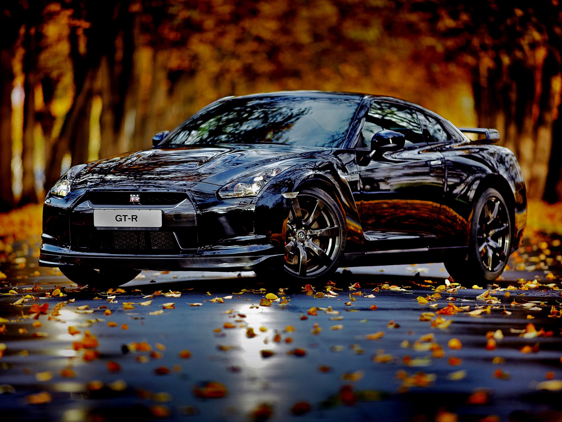 Живые обои авто