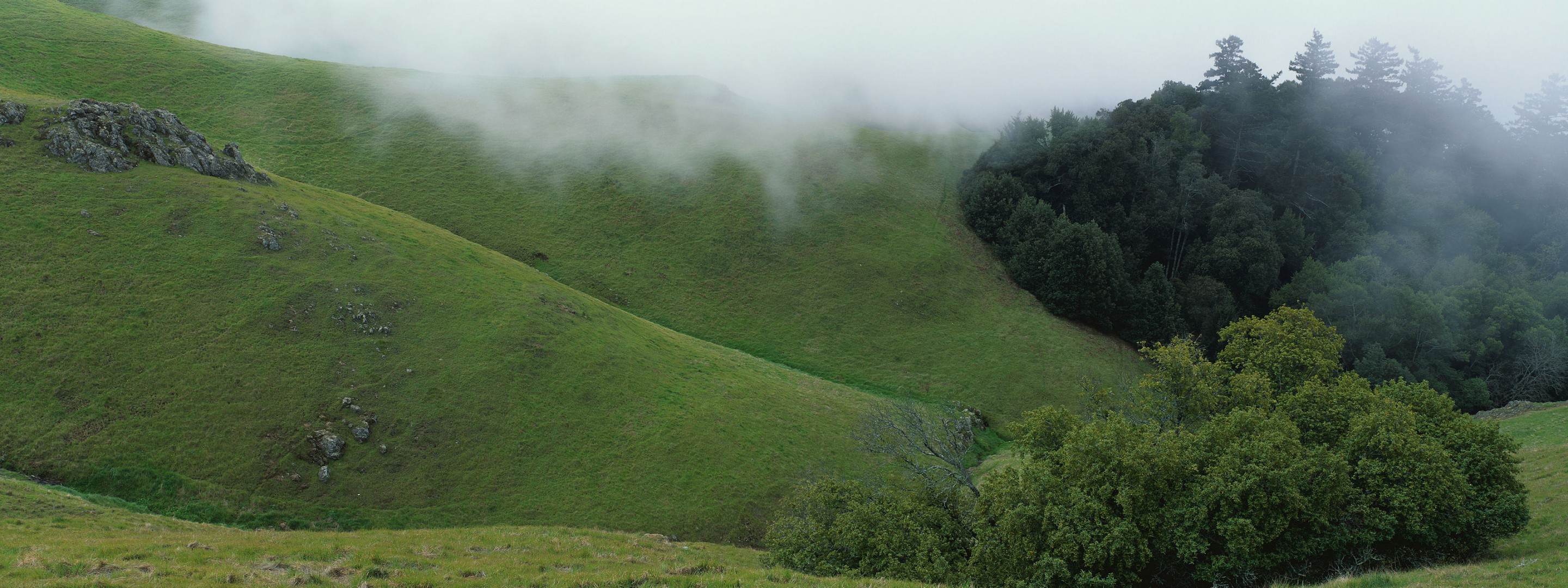 Зеленый туман. Зеленые холмы обои на телефон. Фото на стенах Лесная Долина.