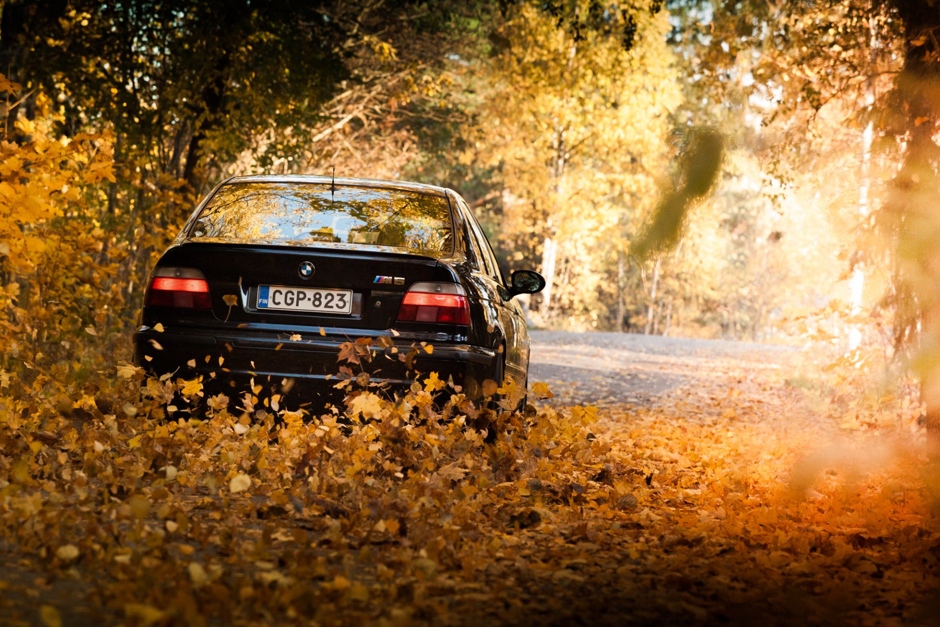 Автошкола осень