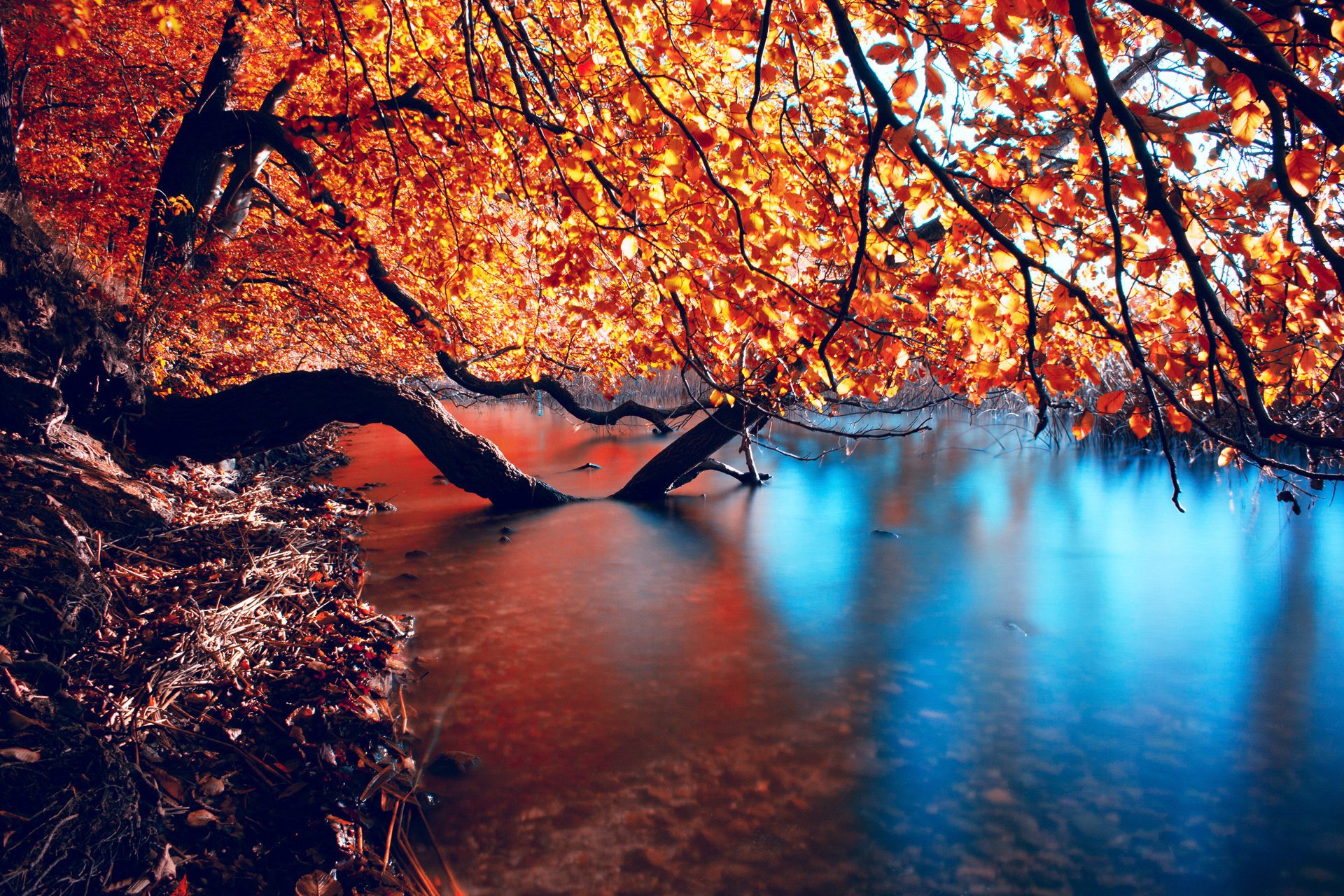 Autumn is beautiful. Красивая осень. Пейзаж. Природа осень. Обои на рабочий стол осень.