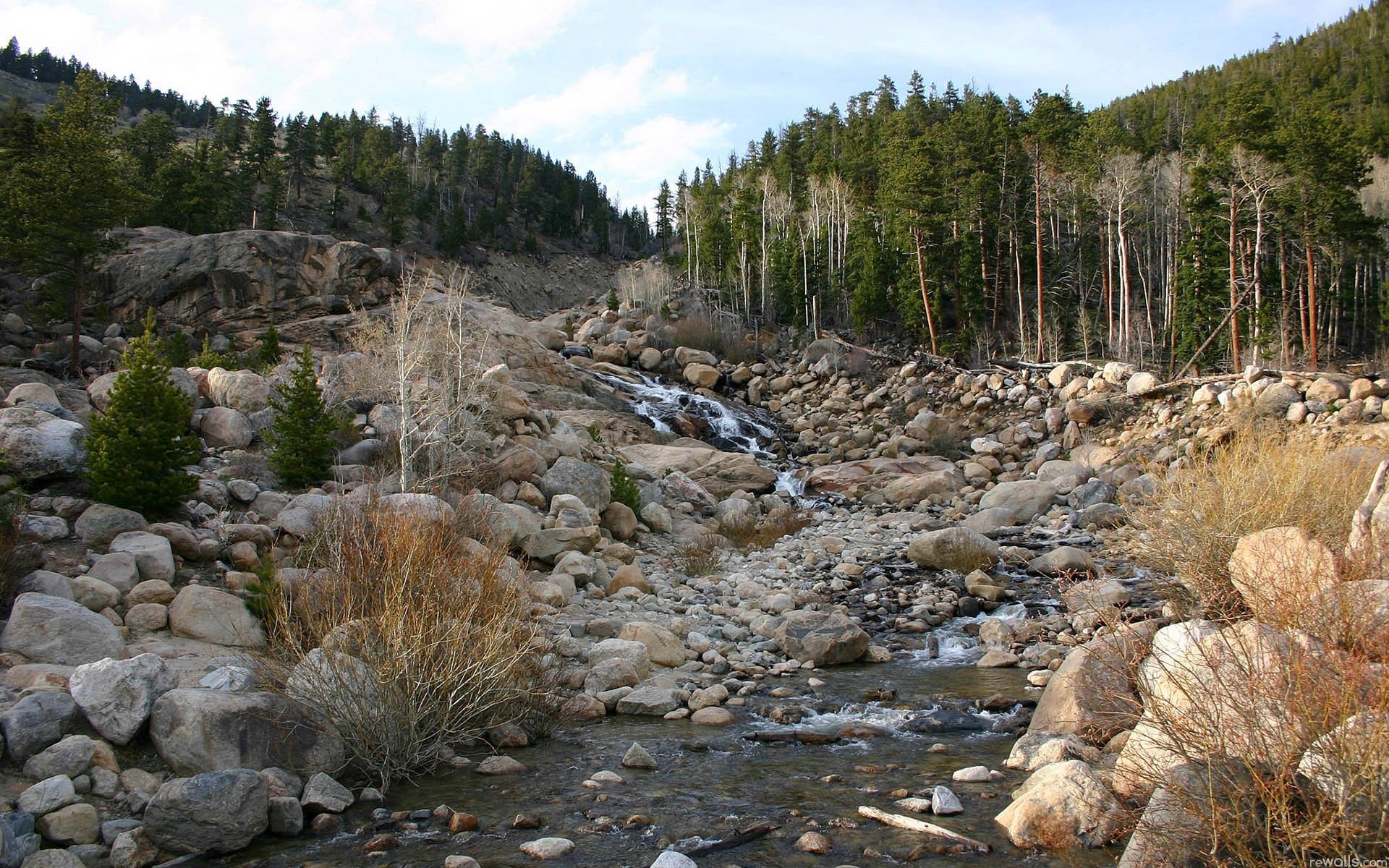 Река Камни Фото