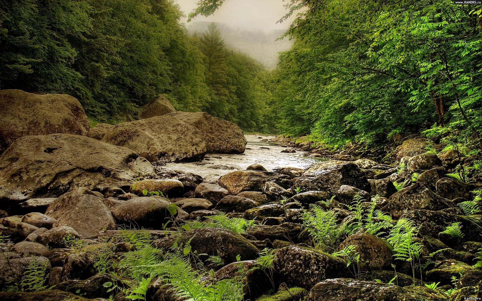 Stone river. Карпаты лес ручей камни. Ручей Горная речка Урал. Горная река камни лес. Ручей среди камней.