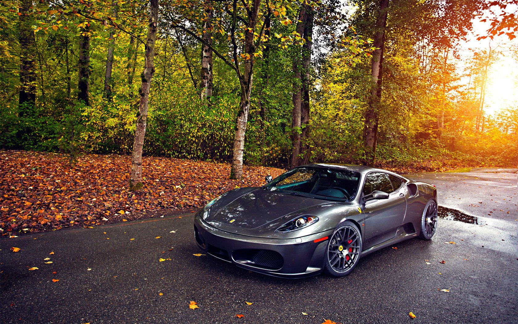 Silver ferrari 430 осенью