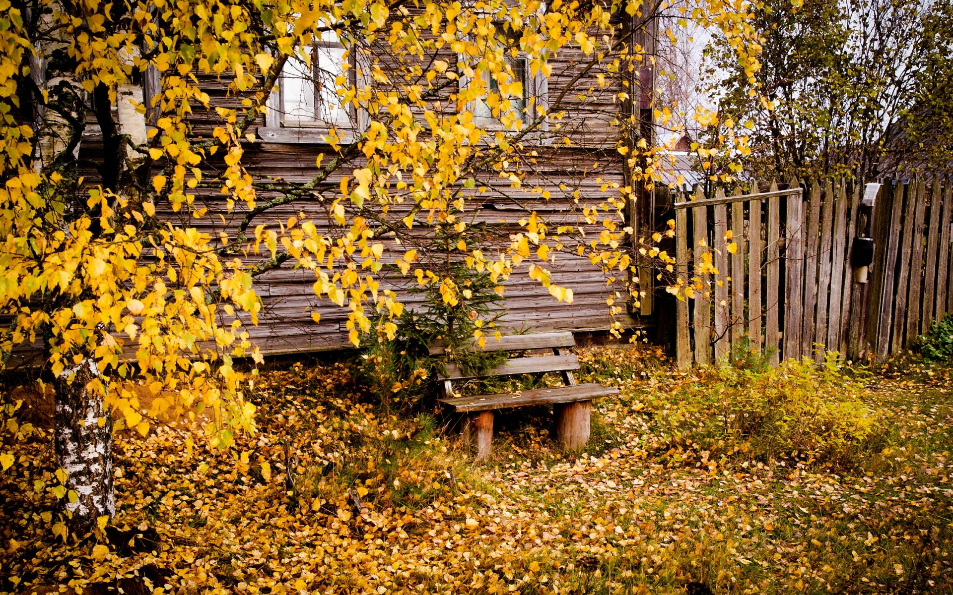 дом скамья город осень