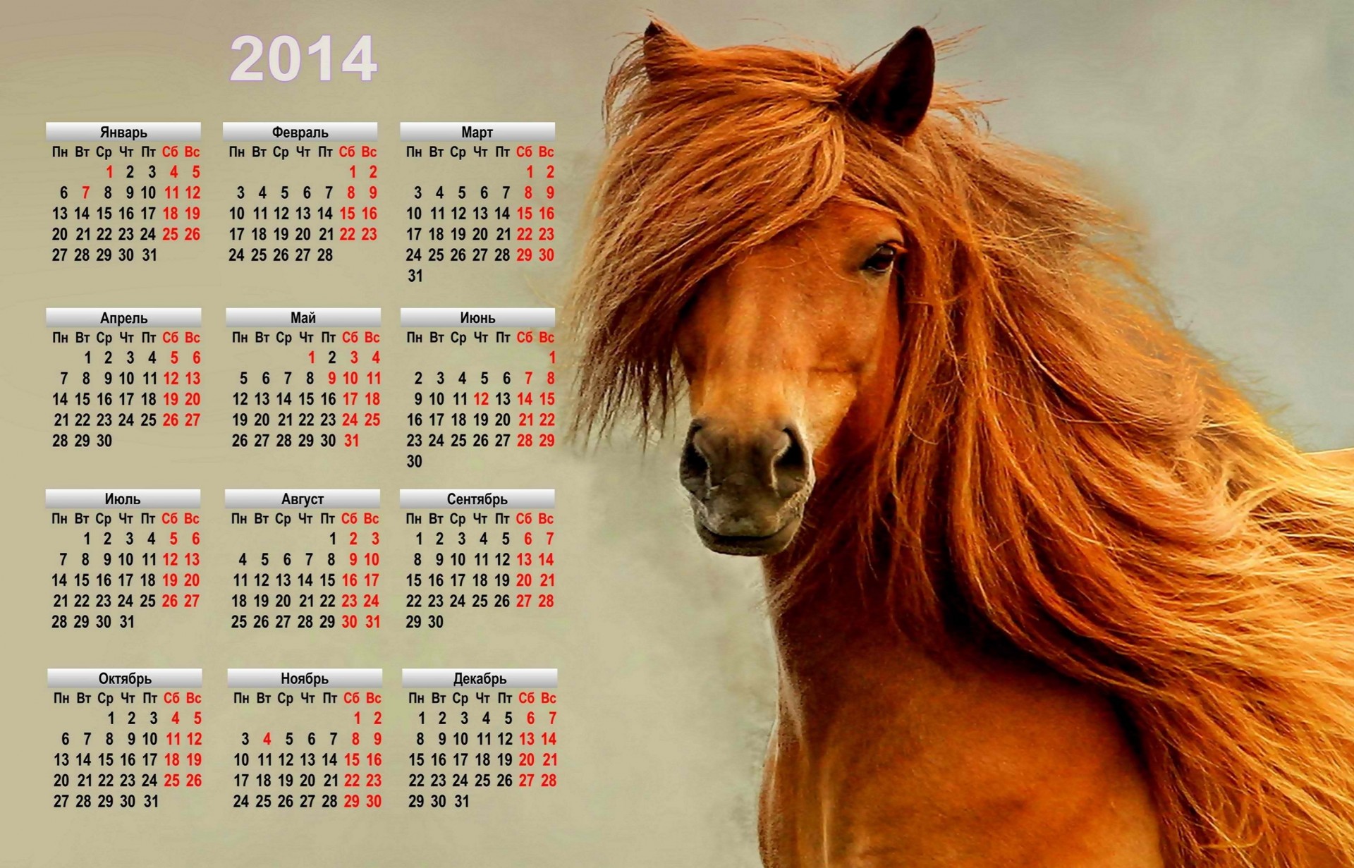 2015 год лошадь