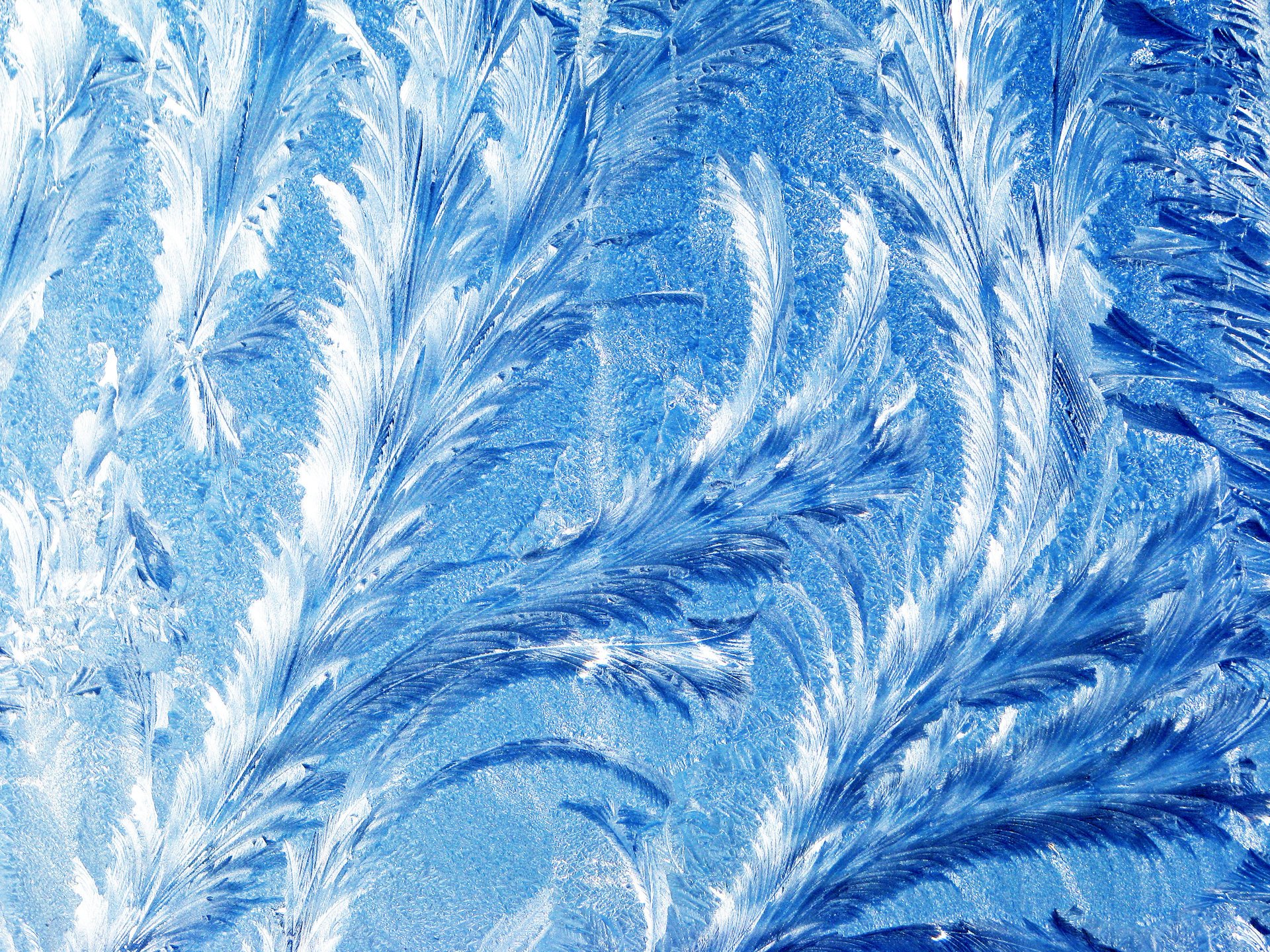 Морозный рисунок на холодном окне