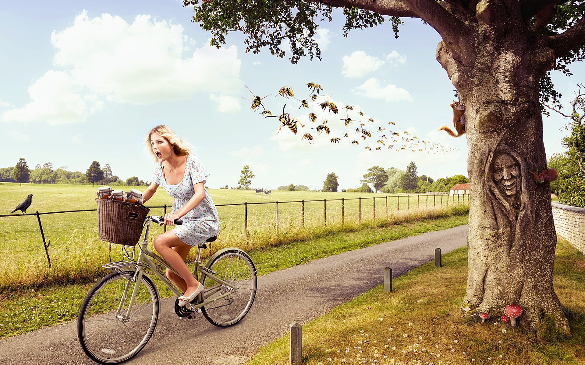 Креативная смешная картинка. Велосипед для девочки. Девушка на велосипеде. Креативный велосипед. Лето велосипед.