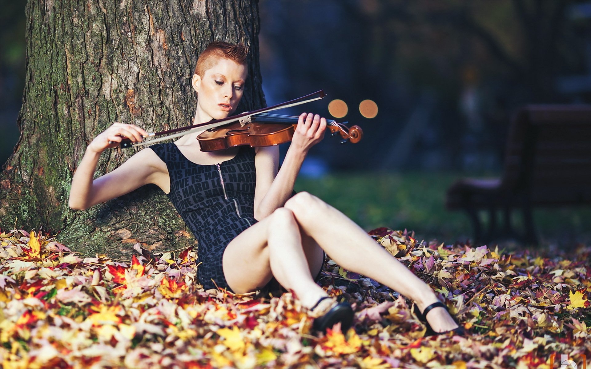 Молодая девушка музыка. Девушки со скрипкой. Девушка со скрипкой на природе. Фотосессия на природе скрипачки. Фотосессия со скрипкой на природе.
