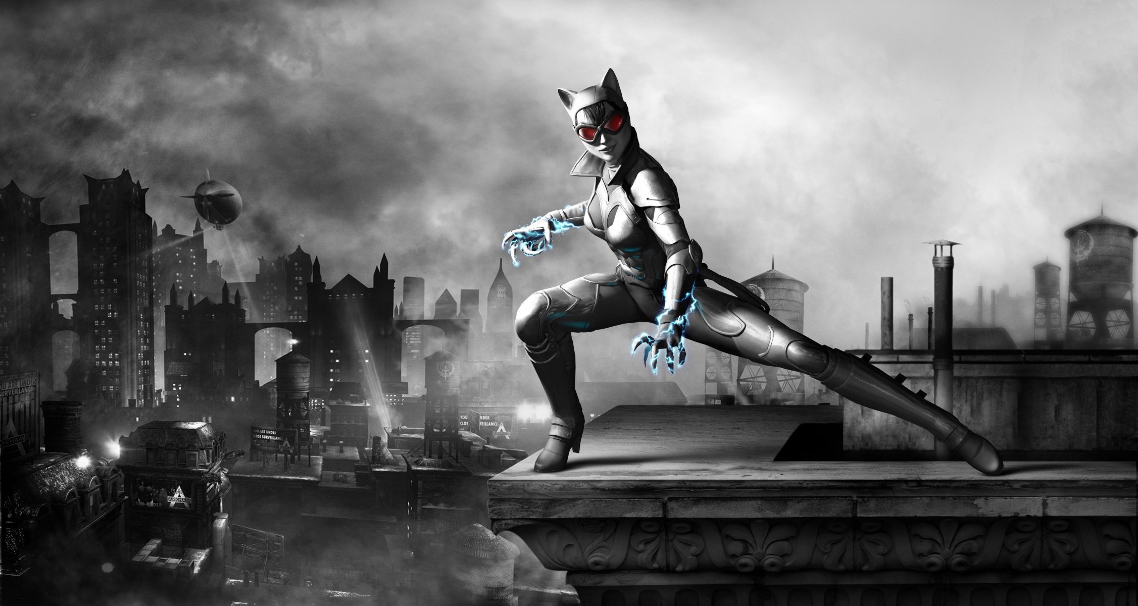 batman: arkham city бронированный издание женщина-кошка селина кайл броня wii u