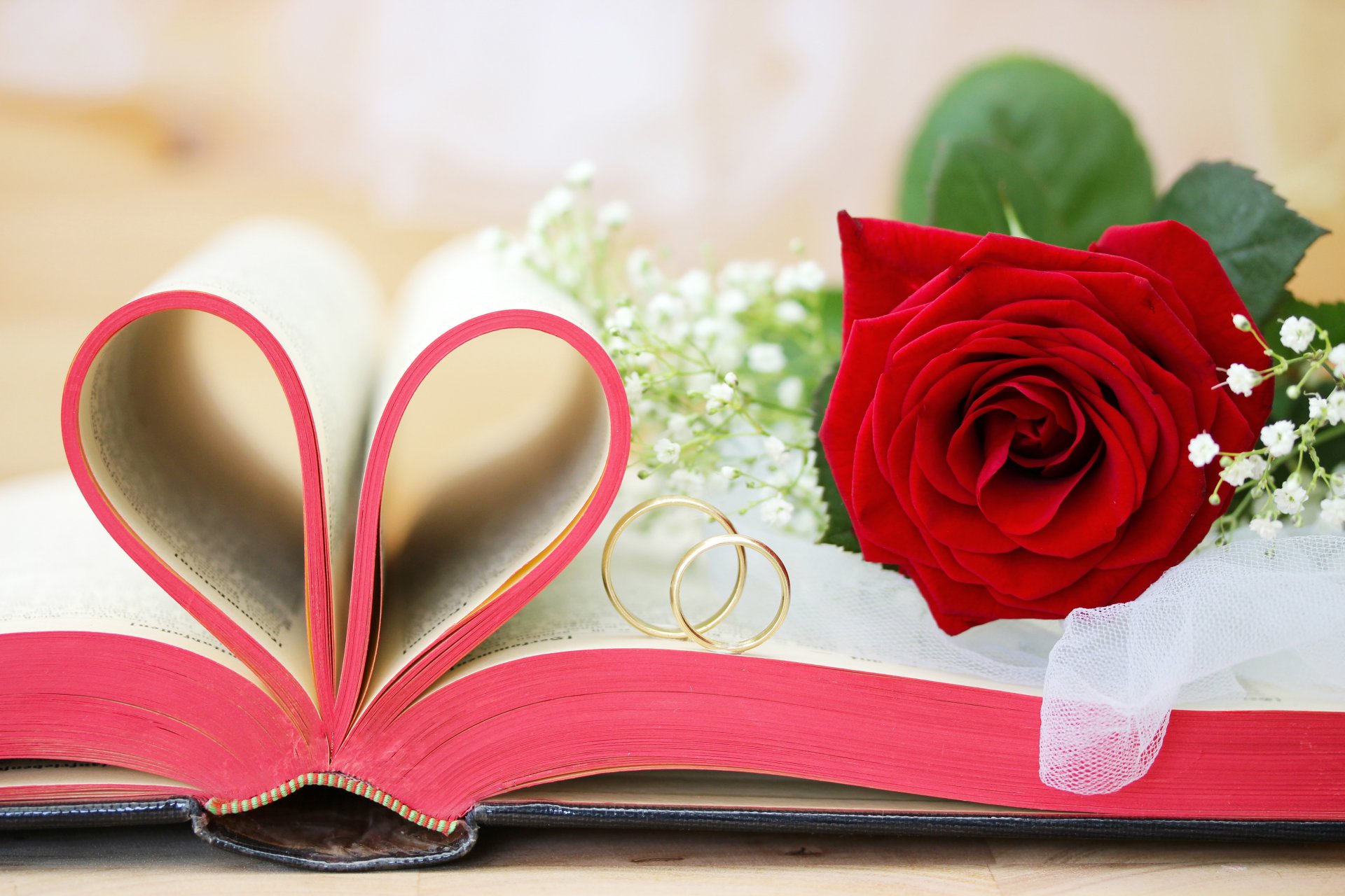 обручальные кольца цветы золотые роза книга свадьба