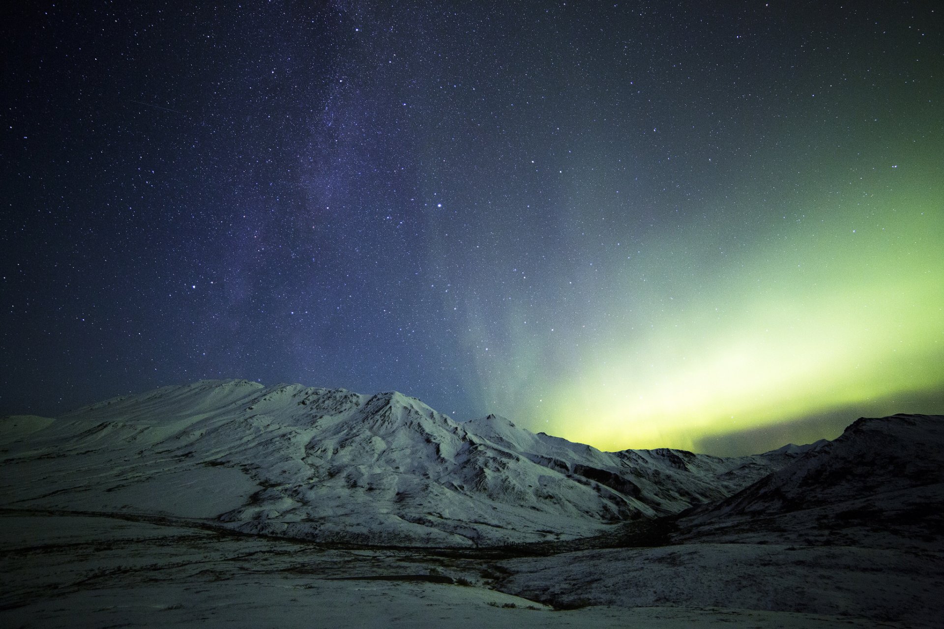Denali Lights