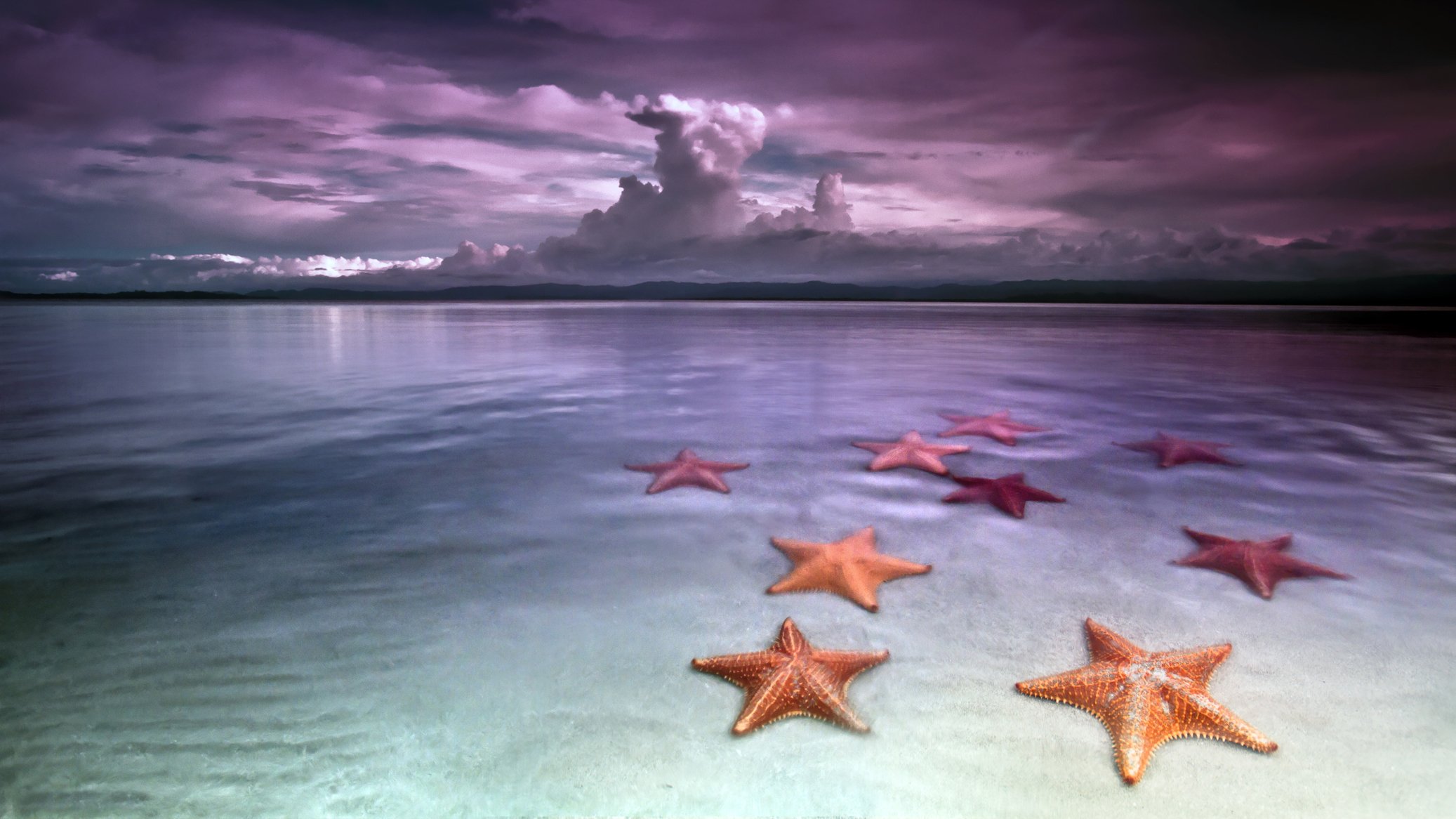 Включи звезда берег. Пляж морских звезд — бока дель Драго. Морская звезда. Море и звезды. Обои на рабочий стол море.